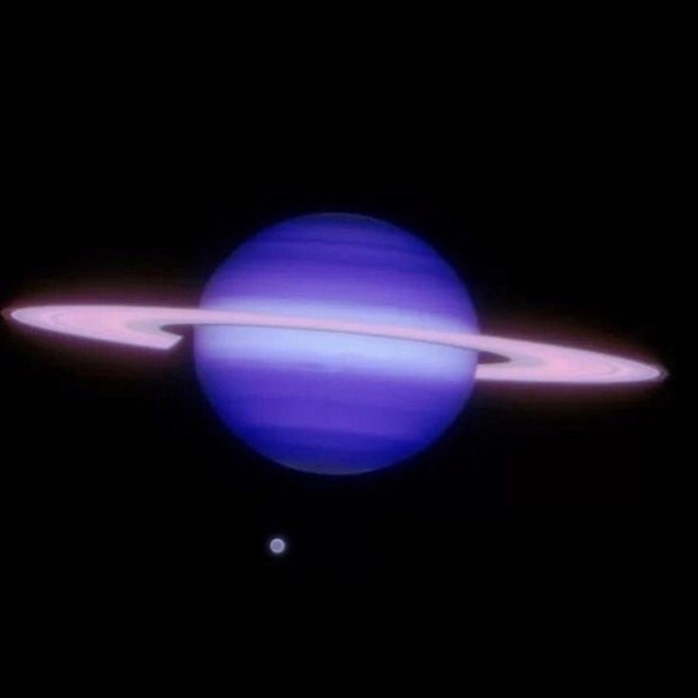 Meet your Posher, Evangelina